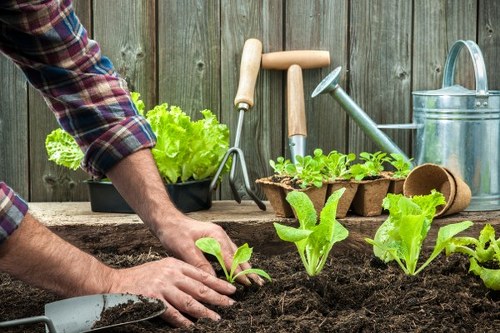 Gardener assessing a garden site before work