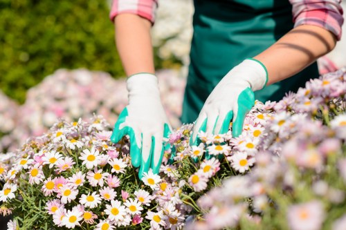 Risk assessment checklist held by a supervisor on a garden site