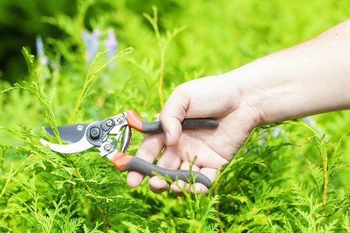 Hedge trimming work in a narrow London garden with protective equipment